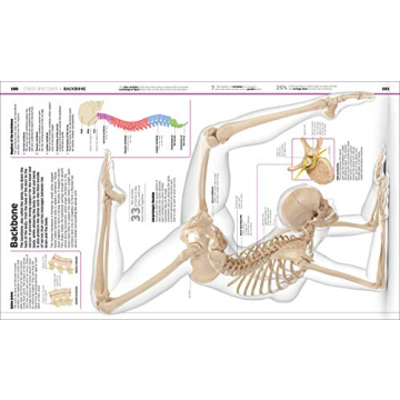 Engaging Anatomy Encyclopedia for Kids | Knowledge Human Body
