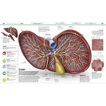 Engaging Anatomy Encyclopedia for Kids | Knowledge Human Body