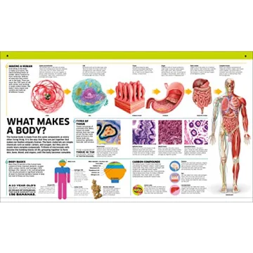 Engaging Anatomy Encyclopedia for Kids | Knowledge Human Body