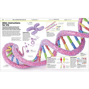 Engaging Anatomy Encyclopedia for Kids | Knowledge Human Body