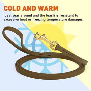 Viper Biothane Waterproof Dog Leash for Training