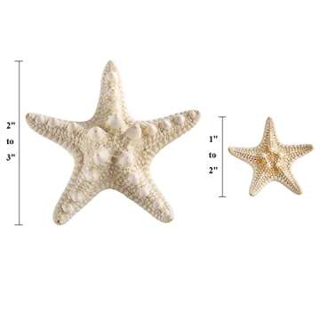 Okllen 40 Pieces Knobby Starfish Seashell, Artificial Mixed Beach Starfish 1" to 2" and 2" to 3", DI...