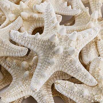 Okllen 40 Pieces Knobby Starfish Seashell, Artificial Mixed Beach Starfish 1" to 2" and 2" to 3", DIY Crafts Sea Shells Stars Ocean Starfish for Wedding Decor, Beach Theme Party, Home Decoration