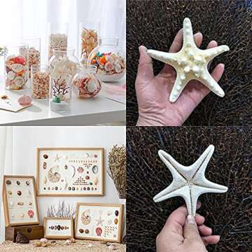 Okllen 40 Pieces Knobby Starfish Seashell, Artificial Mixed Beach Starfish 1" to 2" and 2" to 3", DIY Crafts Sea Shells Stars Ocean Starfish for Wedding Decor, Beach Theme Party, Home Decoration