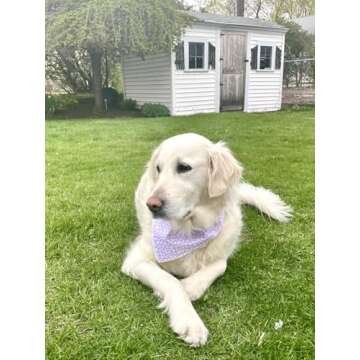 Lionet Paws Spring Daisy Dog Bandana Washable Cotton Handkerchief Scarf Triangle Bandana for Small Medium Large Dogs Girl Boy