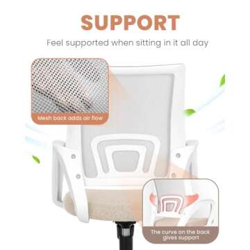 NEO CHAIR Ergonomic Office Desk Chair with Lumbar Support