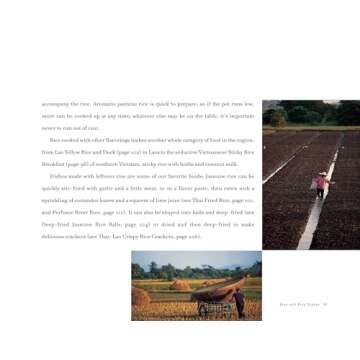 Explore Culinary Flavors with Hot Sour Salty Sweet Book