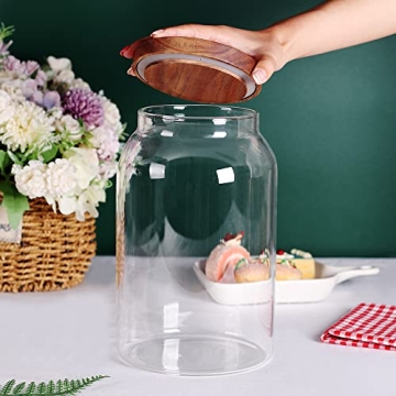 SAIOOL Glass Storage Jars with Airtight Wooden Lid