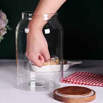 SAIOOL Glass Storage Jars with Airtight Wooden Lid