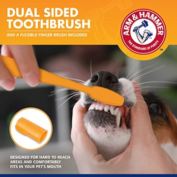 Effective Arm & Hammer Pet Tartar Control Kit for Dogs