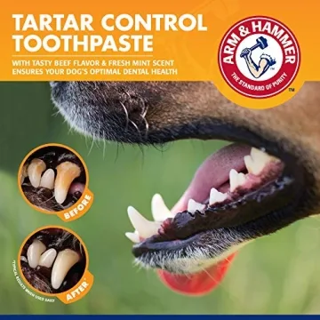 Effective Arm & Hammer Pet Tartar Control Kit for Dogs