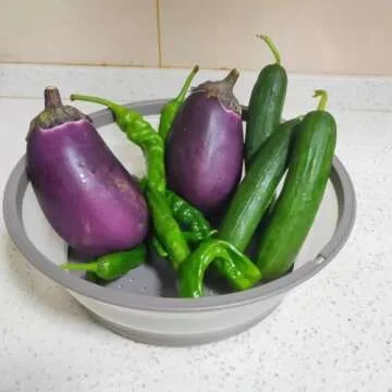 WENWELL Collapsible Microwave Splatter Cover - BPA-Free