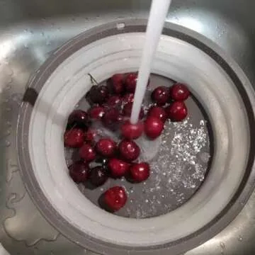 WENWELL Collapsible Microwave Splatter Cover - BPA-Free