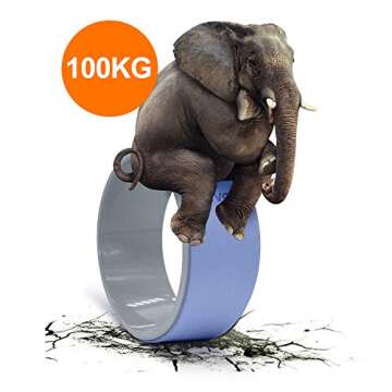 ATIVAFIT Sports Yoga Wheel Set Yoga Roller Rad for Back Pain and Improving Your Yoga Poses, Perfect ...