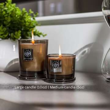 Aquiesse Sandalwood Vanille Medium Scented Candle, 5oz