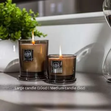 Aquiesse Sandalwood Vanille Medium Scented Candle, 5oz