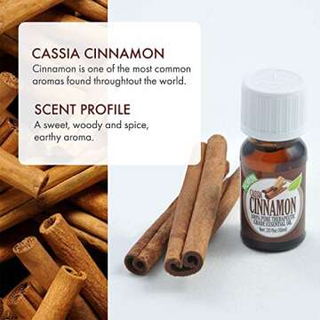 Healing Solutions 10ml Cassia Cinnamon Essential Oil