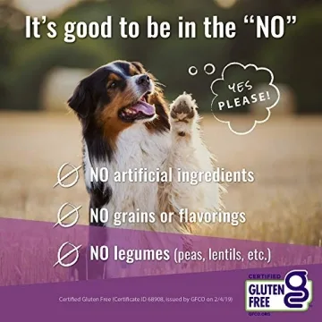 Vital Essentials Freeze Dried Beef Tripe Nibblets 16 oz