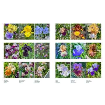 Life with Flowers: Inspiration and Lessons from the Garden