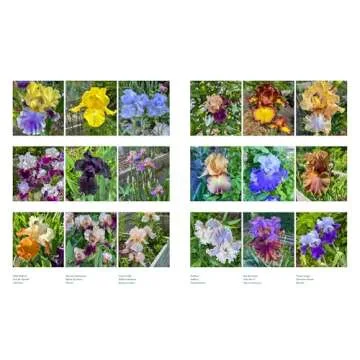 Life with Flowers: Inspiration and Lessons from the Garden