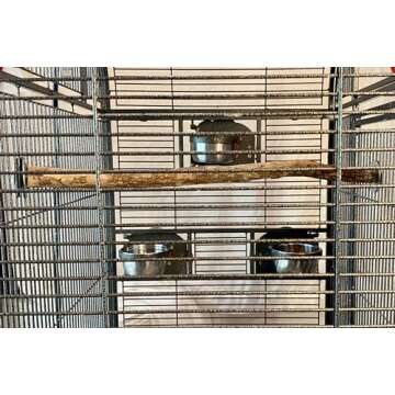 Polly's Full Length Hardwood Bird Perch, 30-Inch, Brown (50804)