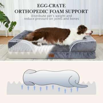 Comfort Expression XL Dog Bed with Bolster, Waterproof Orthopedic Foam Dog Beds for Extra Large Dogs...