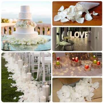 Koceko Dried White Rose Petals for Wedding Decor 80g