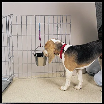Pro Select Stainless Steel Pet Pail Highly Durable for Kennels