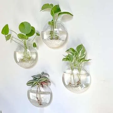 Kingbuy Wall Hanging Glass Planter Propagation Station - 4 Pack Oblate Globe Wall-Mounted Vases for ...