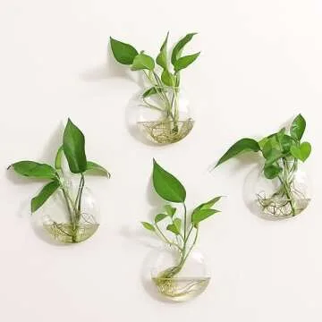 Kingbuy Wall Hanging Glass Planter Propagation Station - 4 Pack Oblate Globe Wall-Mounted Vases for Indoor Hydroponic Air Plants Bathroom Living Room Office Decor Gift for Women, Mom, Plants Lovers