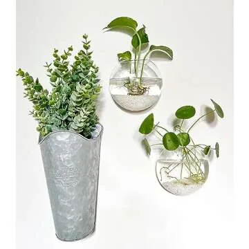 Kingbuy Wall Hanging Glass Planter Propagation Station - 4 Pack Oblate Globe Wall-Mounted Vases for Indoor Hydroponic Air Plants Bathroom Living Room Office Decor Gift for Women, Mom, Plants Lovers