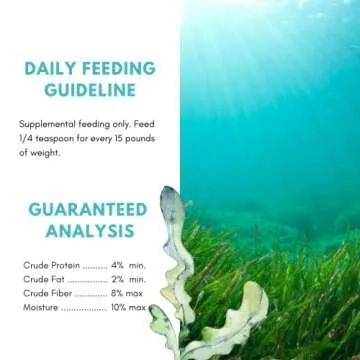 Dried Kelp Powder for Dogs - Canine Caviar Organic Norwegian Dried Kelp Supplement Powder to Improve Teeth and Gums, Circulation, Metabolism, and Joint Health, Dog Supplement (1.5 lb)