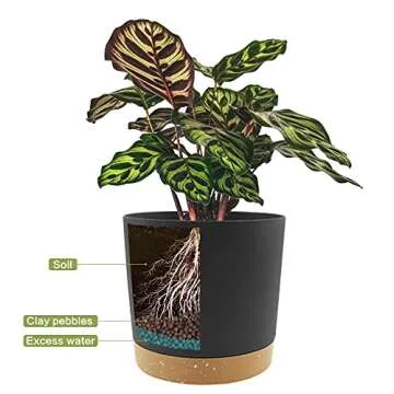 QCQHDU Modern Planters: 8 inch Pots with Drainage Holes