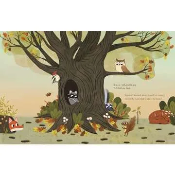 Have You Seen My Acorn?