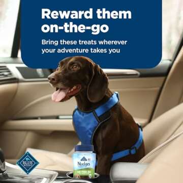 Blue Buffalo Nudges On The Go Dog Treats, Made in the USA with Natural Ingredients, Chicken, 5.5-oz. Bag