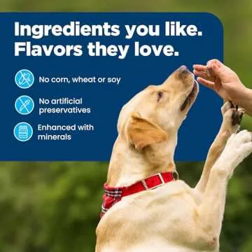 Blue Buffalo Nudges On The Go Dog Treats, Made in the USA with Natural Ingredients, Chicken, 5.5-oz. Bag