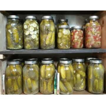 WOODRIVER Wide Mouth Mason Jars 64 oz Half Gallon Mason Jars with Lids and Bands. Jars for Canning, Fermenting, Pickling, Storing. Large Mason Jars. Made in USA (2)