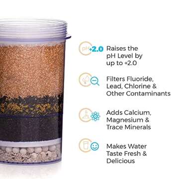 Fluoride & Chlorine Filter for Gravity Water System - Santevia