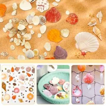 WEOXPR Mixed Sea Shells, 100+ Pcs Beach Seashells Starfish, Various Sizes Ocean Seashells for Fish Tank Vase Fillers, Beach Theme Party Wedding Decor, Candle Making, DIY Crafts, Home Decorations