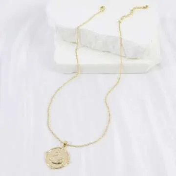 Gold Swan Pendant Necklace for Women 14K Gold Plated Round Swan Choker Necklace Gold Swan Charm Animal Coin Necklace with CZ Adjustable Chain Summer Beach Vacation Jewelry Gift for Women