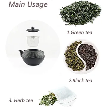 HwaGui Japanese Cast Iron Teapot with Infuser for Perfect Tea