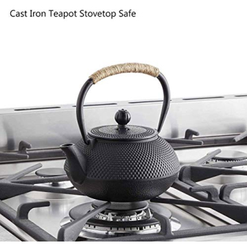 HwaGui Japanese Cast Iron Teapot with Infuser for Perfect Tea