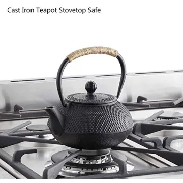 HwaGui Japanese Cast Iron Teapot with Infuser for Perfect Tea