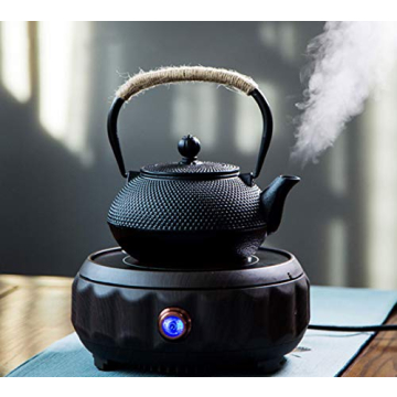 HwaGui Japanese Cast Iron Teapot with Infuser for Perfect Tea