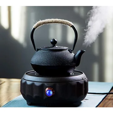 HwaGui Japanese Cast Iron Teapot with Infuser for Perfect Tea