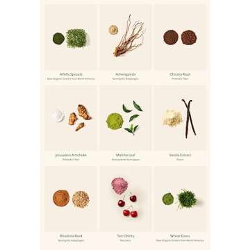 ProMix Raw Greens Superfood - 30 Servings of Nutrition