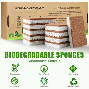 PANYEE Biodegradable Natural Kitchen Sponges – Eco-Friendly Pack of 12