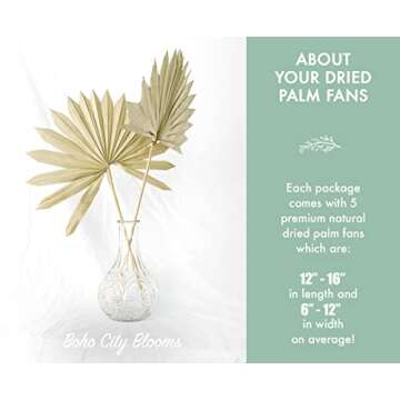 Boho City Blooms 5 Dried Palm Leaves 12-16” | Bohemian Decor for Weddings, Bouquets & Home Walls |...