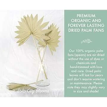 Boho City Blooms 5 Dried Palm Leaves 12-16” | Bohemian Decor for Weddings, Bouquets & Home Walls | Natural Dried Palm Spears | Simplistic Farmhouse Chic | Interior Design Dried Flowers