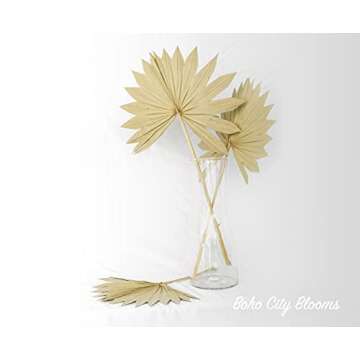 Boho City Blooms 5 Dried Palm Leaves 12-16” | Bohemian Decor for Weddings, Bouquets & Home Walls | Natural Dried Palm Spears | Simplistic Farmhouse Chic | Interior Design Dried Flowers